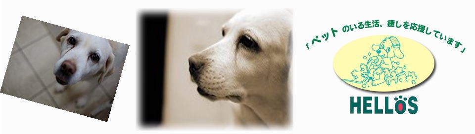 倉敷市水島のペットホテル・トリミング・美容はハローズへ